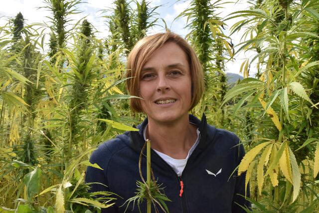 Der Nutzhanf ist in Tirol in Vergessenheit geraten. Die Landwirtin Sandra Leitner hat die Vielseitigkeit und das Potenzial der Pflanze erkannt und ihre Produkte erfreuen sich stetig wachsender Nachfrage. | Foto: Kendlbacher
