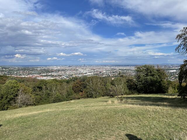 Die Kulturwanderung fand bei allerbestem Wetter statt. Dieses Foto illustriert gut, warum der Wienerblick seinen Namen zu recht trägt. | Foto: Kautzky