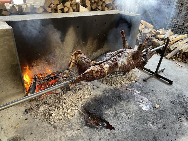 Bei der Ankunft am Hohenauer Teichhaus drehte sich bereits ein Wildschwein am Grill. | Foto: Kautzky