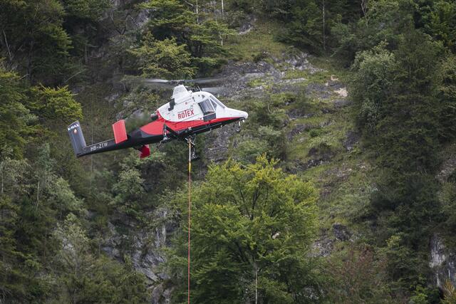 Die Bäume werden mittels Transport-Hubschrauber abtransportiert. | Foto: Wildbild