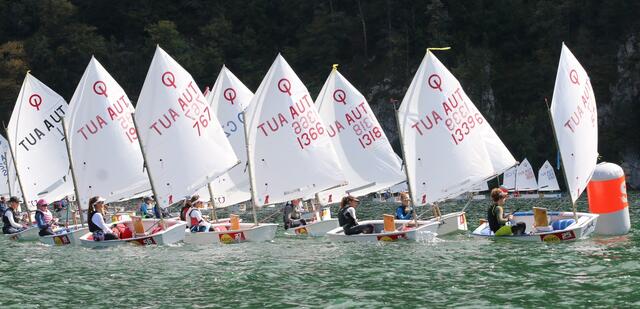 Das Feld der Optimist-Segler. | Foto: UYC Wolfgangsee