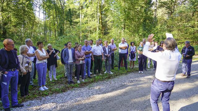 Bei einer Führung erklärt Gerald Steindlegger die Flora des AMAG-Waldes. | Foto: AMAG