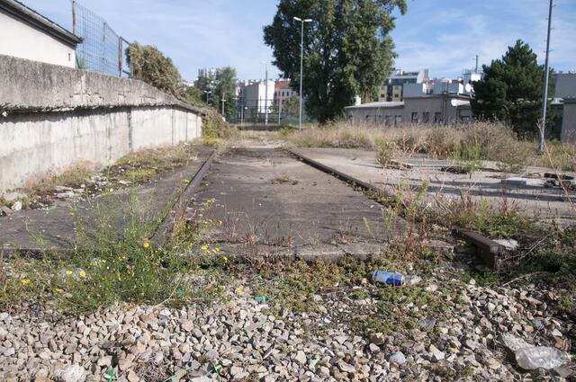 Das Areal diente in frühen Zeiten als Überschwemmungsgebiet. | Foto: Wolfgang Unger
