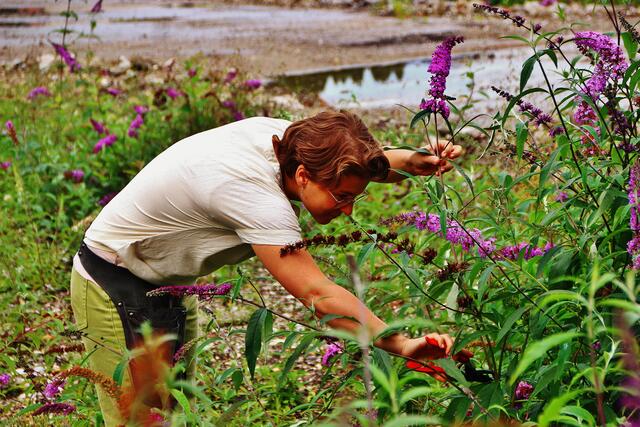 Der Spätsommer besticht durch seine bunten Farbenvielfalt. | Foto: Maria Tiefenbacher-Schöndorfer, 2022