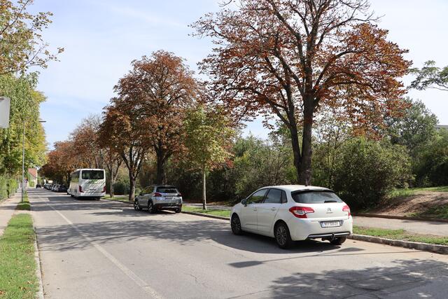Am Damm entstehen zwei neue Gebäude inklusive Stadtsaal. | Foto: Potmesil