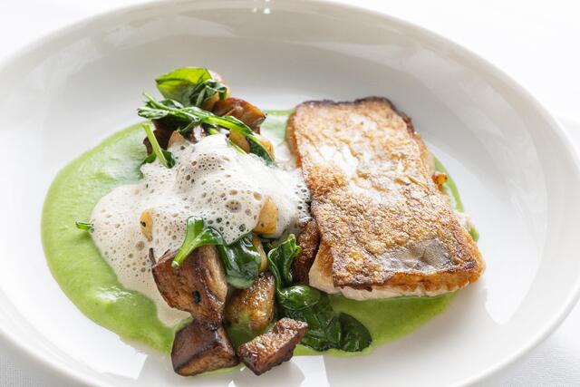 Gebratener Schlosskarpfen mit Steinpilzen, Emmerkorn-Gnocci, Miso und brauner Buttersoße. | Foto: Stephan Mussil