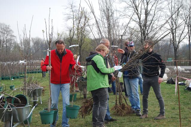 Pro Haushalt können im Rahmen der Streuobstaktion zehn Bäume bestellt werden. | Foto: Naturpark