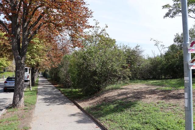 Am Damm entstehen zwei neue Gebäude inklusive Stadtsaal. | Foto: Potmesil