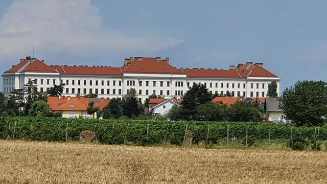 Das Flüchtlingslager in Traiskirchen. | Foto: Robert Rieger