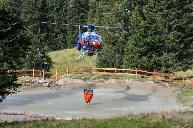 Fachexkursion zum Thema Waldbrandbekämpfung und Risikoabschätzung in Sankt Stefan/Lobming. | Foto: WAFO