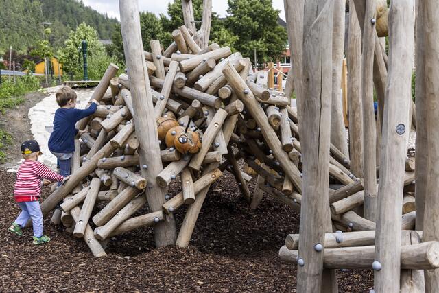 Der "Ameisenhaufen" am Natur-Spielplatz. vor dem Haus der Wildnis in Lunz am See | Foto: Theo Kust