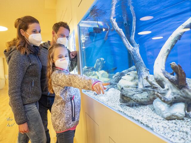 Im Haus der Wildnis kann viele interessante Fakten zum Thema "Wasser" erfahren. | Foto: Theo Kust