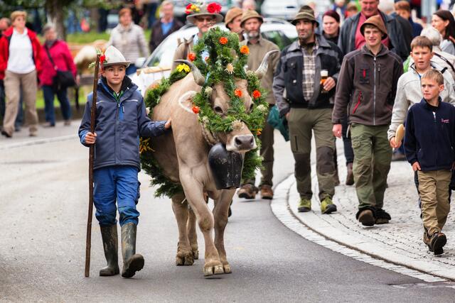 Der Zug der geschmückten Tiere wird mit Speis und Trank, an manchen Orten auch mit musikalischer Begleitung, erwartet. | Foto: Montafon Tourismus/Andreas Haller