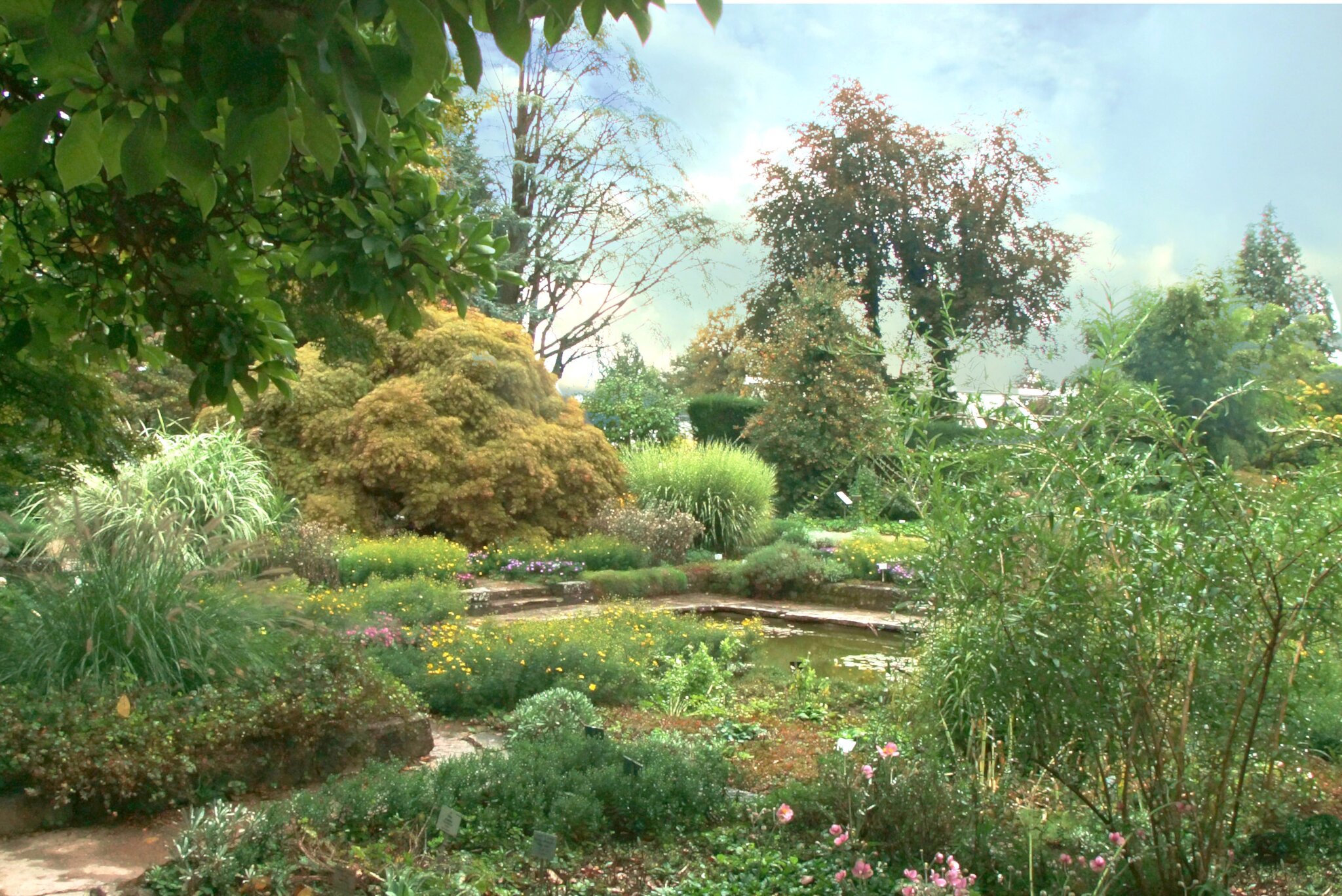 Botanischer Garten Linz Die letzten Sommer und die ersten