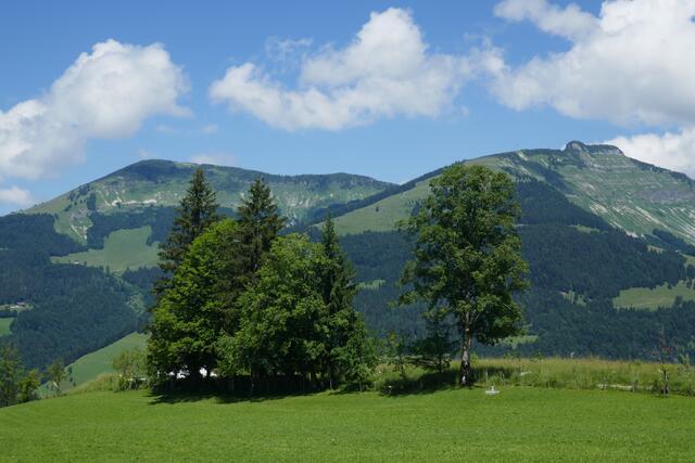 Der "Gegenschuss" von St. Koloman aus: Links der Schlenken, rechts der Schmittenstein.  | Foto: Thomas Neuhold