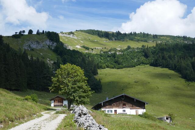 Niglkaralm mit dem Schlenken.  | Foto: Thomas Neuhold