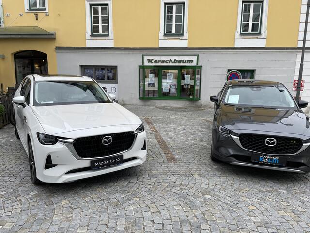 Foto: Bernhard Schabauer