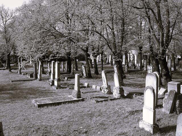 Der jüdische Friedhof in Wiener Neustadt. | Foto: Sulzgruber
