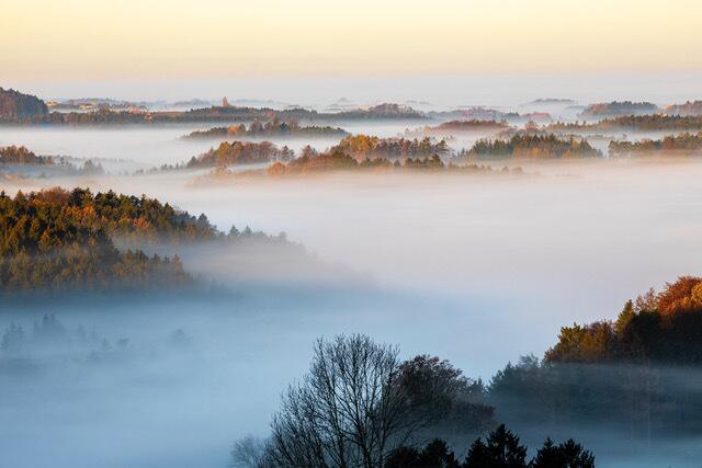 Kalendermotiv, Waldinseln im Nebelmeer Kobernaußerwald | Foto: Mühlleitner
