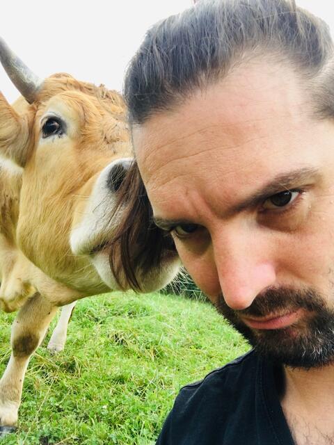 Peter Mayer vom Biohof Mayer in Andorf mit einem seiner Kühe. Abholtermine und Vorbestellmöglichkeiten für Bio-Freilandschweine- und Rindfleisch finden Sie auf www.kunstundkuhstall.at  | Foto: Mayer