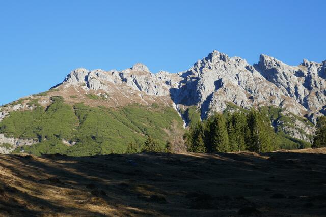 Die Übersicht zeigt deutlich die weit in die Landschaft hinausragende, exponierte Lage der Lausköpfe (links im Bild).  | Foto: Thomas Neuhold