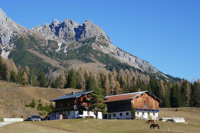 Das Gehöft Rohrmoos mit der Taghaube im Hintergrund.  | Foto: Thomas Neuhold