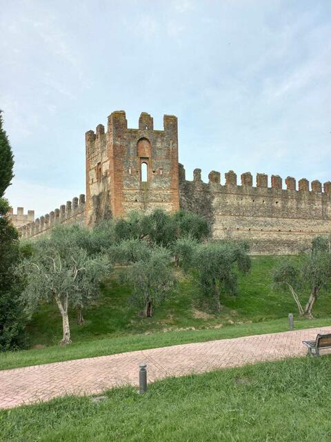 Foto: Karl Waschenegger