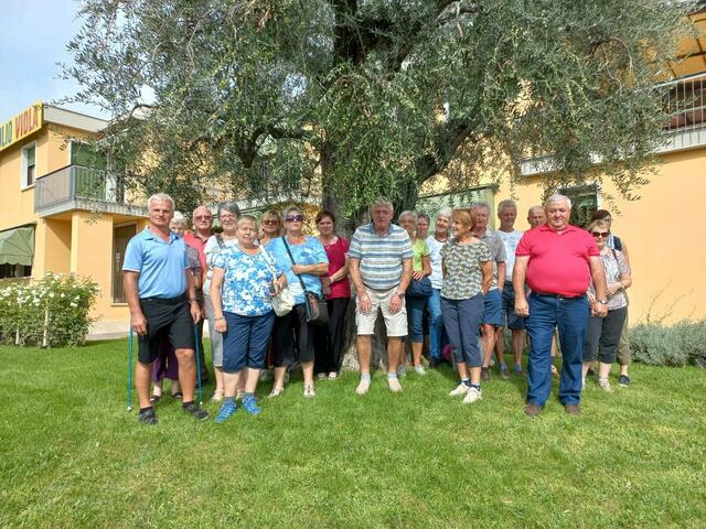 Foto: Karl Waschenegger