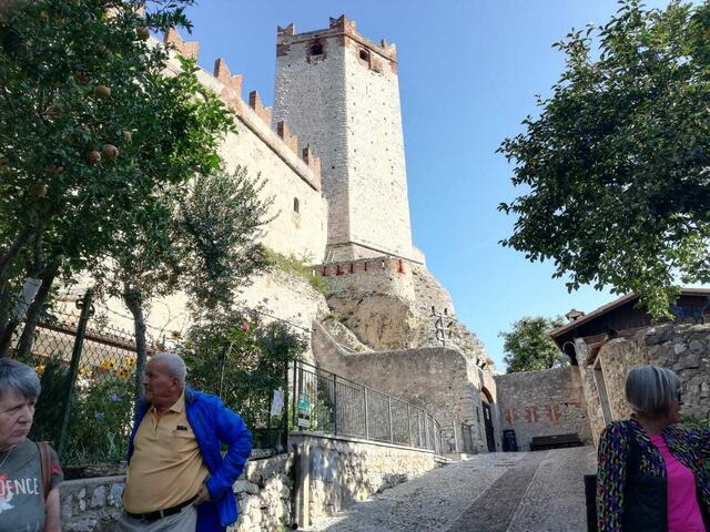 Foto: Karl Waschenegger