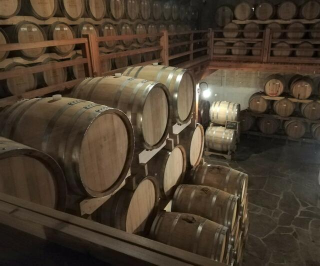 Foto: Karl Waschenegger