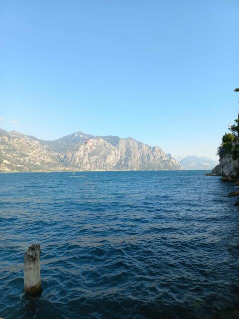 Foto: Karl Waschenegger