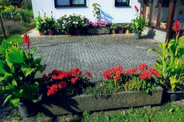 Foto: privat