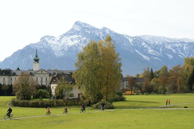 Regelmäßig die Natur zu genießen macht den Kopf frei. | Foto: Symbolbild: Unsplash
