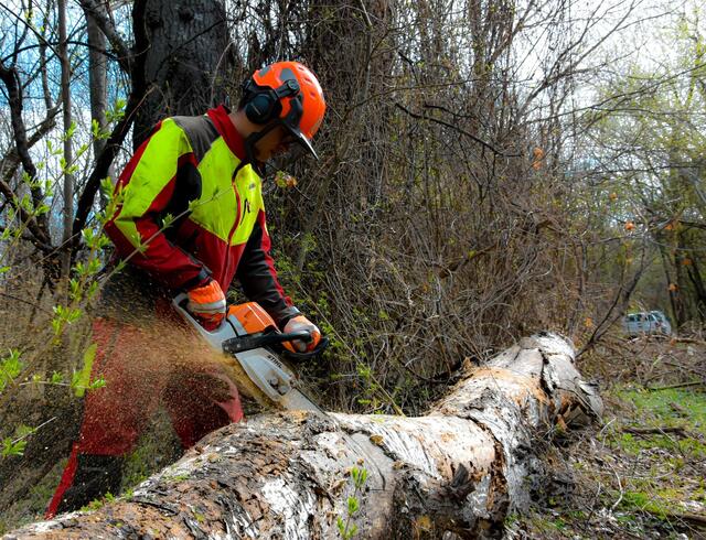 Die Ausbildung im Wald mit der Motorsäge. | Foto: Stadt Wien