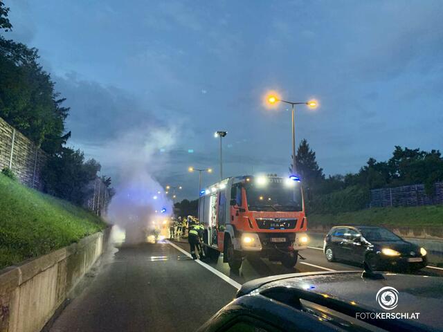 Foto: TEAM FOTOKERSCHI.AT / ROLAND MÜLLER