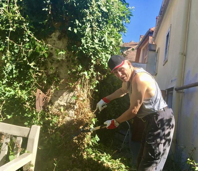 Herbert aus Krems entfernt wuchernden Efeu. | Foto: RG