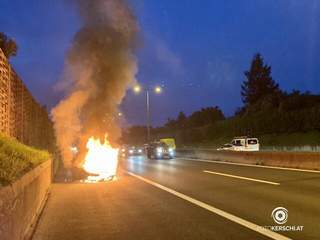 Foto: TEAM FOTOKERSCHI.AT / ROLAND MÜLLER