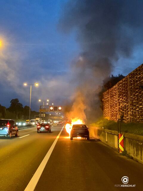 Foto: TEAM FOTOKERSCHI.AT / ROLAND MÜLLER