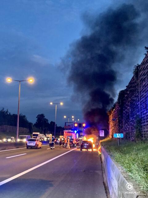 Foto: TEAM FOTOKERSCHI.AT / ROLAND MÜLLER