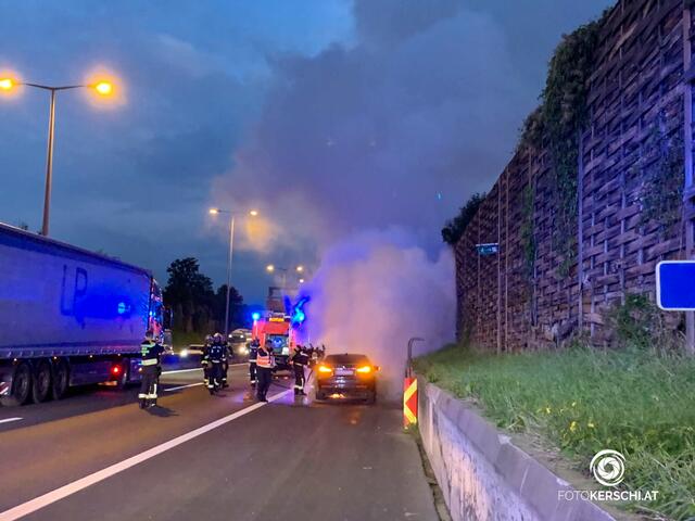 Foto: TEAM FOTOKERSCHI.AT / ROLAND MÜLLER