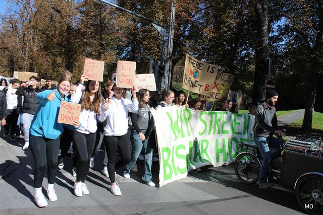 Fridays for Future Graz Demo
