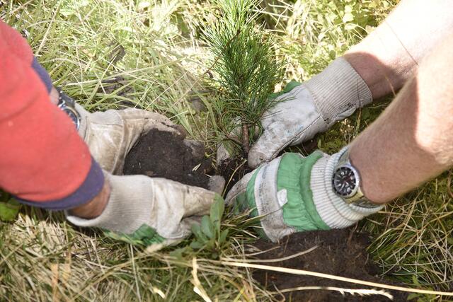 Foto: Roland Holitzky