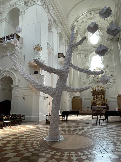 Der Baum in der Kollgienkirche lässt sich umrunden und bestaunen. 