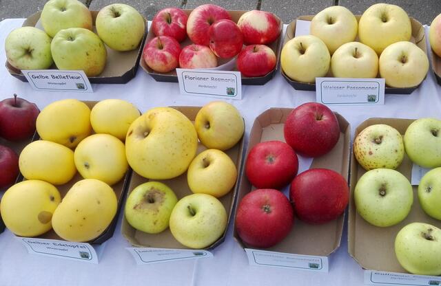 © Naturschutzbund OÖ.