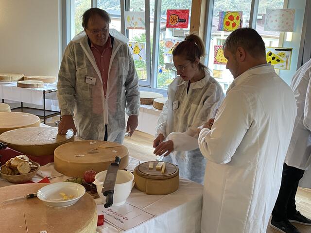 Die Käse-Laibe mussten in den Kategorien Äußeres, Inneres, Geschmack und Konsistenz vor einer internationalen Jury aus Käse-Experten aus Industrie, Handel und Ausbildung überzeugen. | Foto: Othmar Kolp