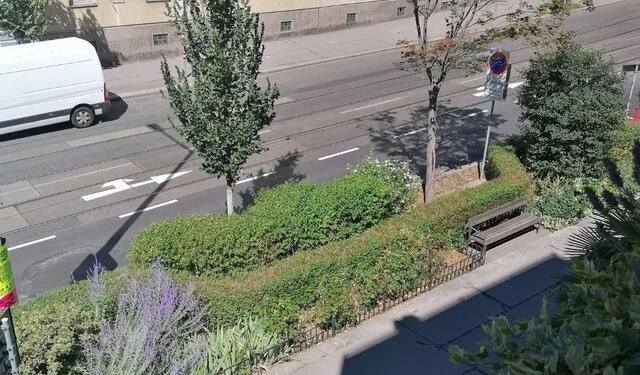 Neue Bodenmarkierungen forderte die SPÖ Währing im Bezirksparlament. Über den Sommer sind diese auch gekommen. Das sorgt für Freude. | Foto: SPÖ Währing