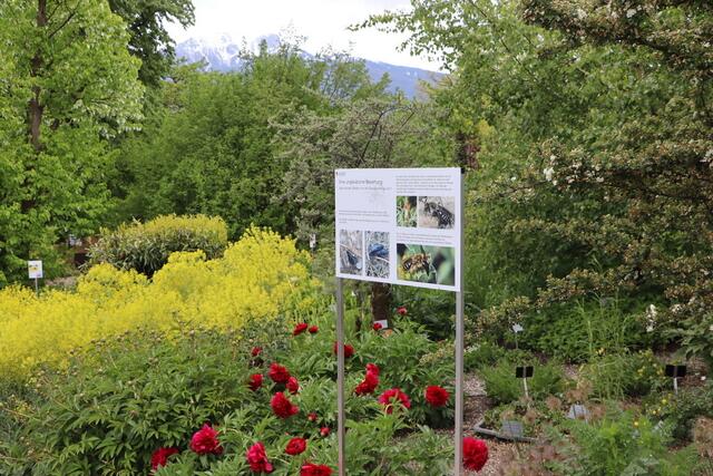 Botanischer Garten Freilandflächen und tropische Schaugewächshäuser