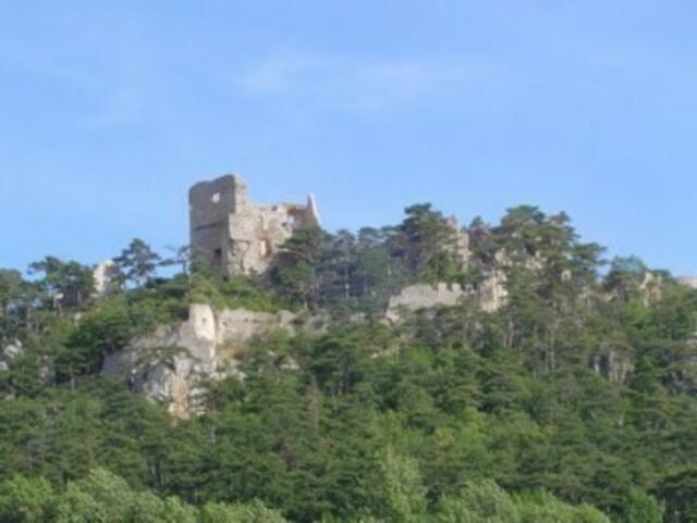 Die Ruine Starhemberg, geschichtsträchtig und geheimnisvoll. | Foto: Andy Listmayr