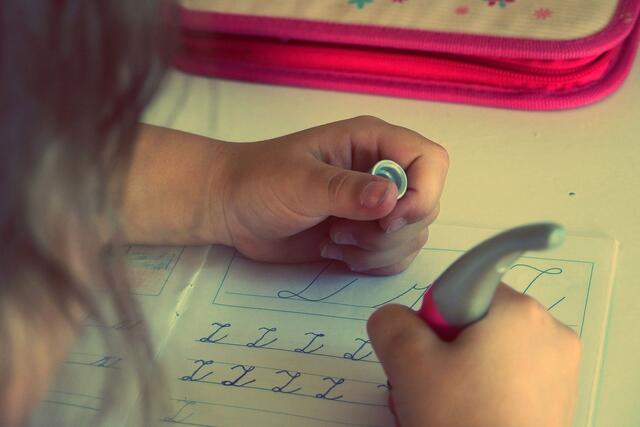 Das Projekt Lernhilfe in Osttirol gibt schulpflichtigen Kindern und Jugendlichen außerhalb der Schule eine zusätzliche Hilfestellung. Die Organisation im Bezirk übernimmt nun der Soroptimist Club Lienz/Osttirol. | Foto: Symbolbild: pixabay/StockSnap