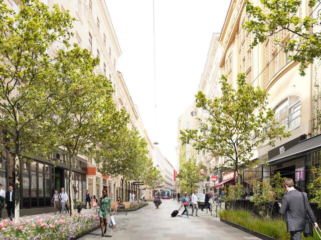 40 zusätzliche Bäume könnten sich die Grünen in der Wollzeile vorstellen.  | Foto: K. Puxbaum